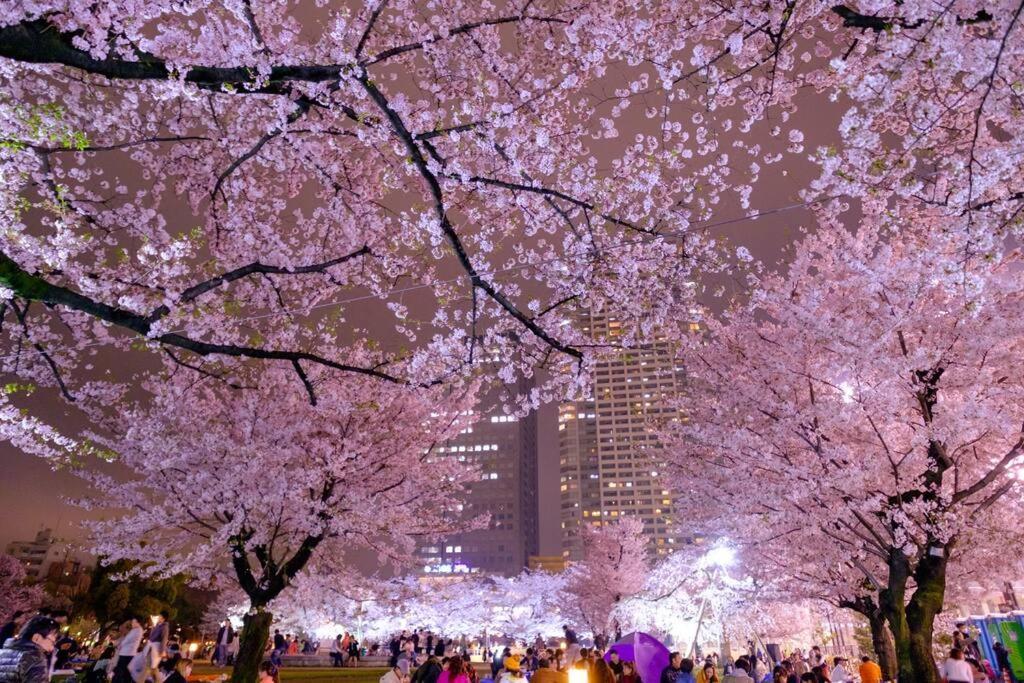 5Mins From Jr Kinshicho! Near Asakusa&Skytree! طوكيو المظهر الخارجي الصورة